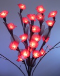 Roses Stem Flowers_sml.jpg